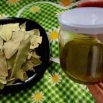 Hojas de laurel sumergidas en un bote de aceite: innumerables e inmediatos beneficios
