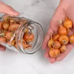 La forma segura de mantener las cebollas frescas durante mucho tiempo: duran toda la vida