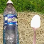 Herbicida casero por menos de 50 céntimos, lo preparas con 3 ingredientes