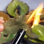 7 Surprising Benefits of Burning a Bay Leaf at Home Every Night