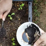 7 abonos naturales caseros para usar en el jardín y para abonar tus plantas