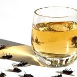 Apply this simple tip at home: there will be no more flies or cockroaches after an hour