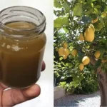 Cómo hacer un abono para el limonero: para cuidarlo y alimentarlo en su mejor momento