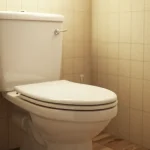 If your toilet is clogged and encrusted, skip muriatic acid: just 1 tablespoon is enough.