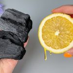 Just mix LEMON with CHARCOAL and you won’t have to spend money at the market anymore