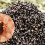 Powerful Clove Mixture to Eliminate Bed Bugs