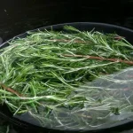 Simmering rosemary sprigs at home is a natural and simple way to transform the atmosphere in your home. Here’s what happens