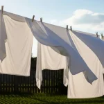 Spotless, white laundry without bleach: this whitens even more