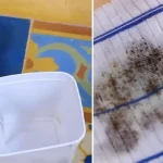 The Sugar Trick Removes Even the Toughest Mold Stain – Step by Step