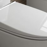 Toilet lid: Do you know how to use it? Serious health risks if used incorrectly.