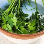 Fresh parsley for a month with the bowl method: chefs do it