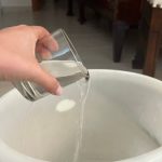 House invaded by cockroaches  , how to clean the floor to eliminate them immediately