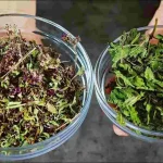 Stronger than garlic and lemon, these 2 ingredients eliminate all fungi and bacteria