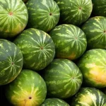 The farmer reveals the method for choosing the sweetest watermelon: this is the only way you can find it