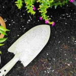 The miracle infusion that brings dead plants back to life: try it now